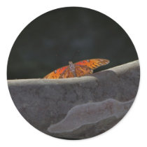 Orange Butterfly Sticker by ashale8 Orange Butterfly Sticker