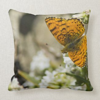 Orange Butterfly Throw Pillows