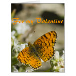 Orange Butterfly Valentine Cards