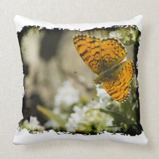 Orange Butterfly White Edge Pillows