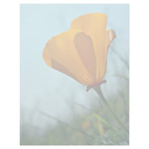Orange California Poppy, Backlit flowers Personalized Letterhead