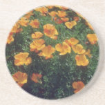 Orange California Poppy (Eschscholzia Californica) Beverage Coaster