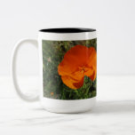 Orange California Poppy Flower Mugs
