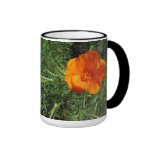 Orange California Poppy Flower Mugs