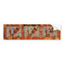 Orange Carpet Tin Man Bumper Sticker