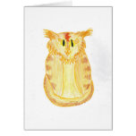 Orange Cat