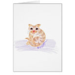 Orange Cat Card