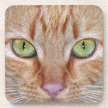 Orange Cat Eyes Coaster