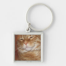 Orange Cat Keychain