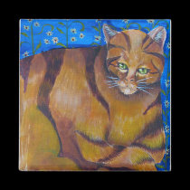 Orange Cat magnets