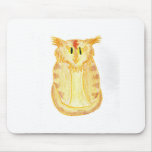 Orange Cat