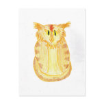 Orange Cat