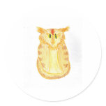 Orange Cat