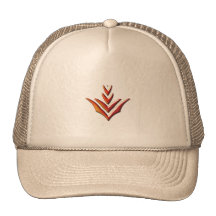 Orange Chevron hat