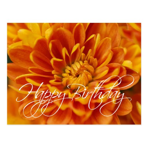 Orange Chrysanthemum Happy Birthday Postcard | Zazzle