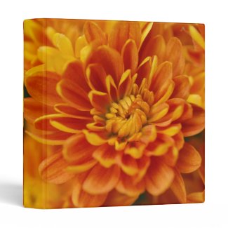Orange Chrysanthemum Vinyl Binder