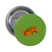 Orange Cockroach Pins