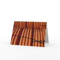Orange coiled plastic tubing Photo Greeting Cards