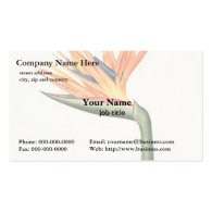 orange color flowers,Pierre Joseph Redouté Business Card Template