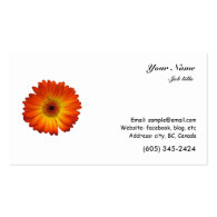 Orange color gerbera daisy flower business card