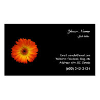Orange color gerbera daisy flower business cards
