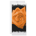 Orange colored rose against black back custom rack cards
