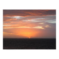 Orange Colored Sky posters