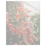 Orange Columnea Gloriosa Goldfish Plant flowers Letterhead Template