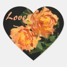 Orange-Coral Rose  Duo Stickers