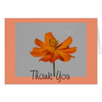 Orange Cosmos Thank You Greeting Card