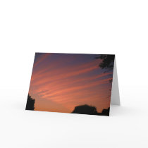 Orange Cream cards