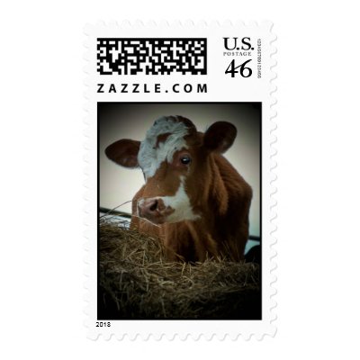 Orange Cream Cow Postage