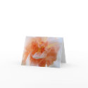 Orange Cream Daffodil Note Card by SerenityCreek Orange Cream Daffodil Note Card