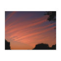 Orange Cream Sky postcards