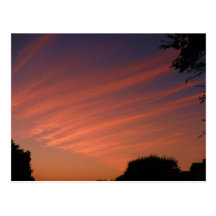 Orange Cream Sky Postcards