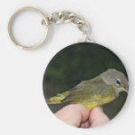 Orange-crowned Warbler in Hand Keychains