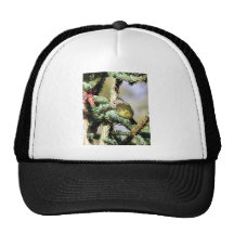 Orange-crowned Warbler Mesh Hat