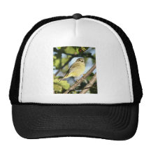 Orange-crowned Warbler Mesh Hat