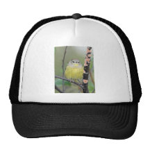 Orange-crowned Warbler Mesh Hats