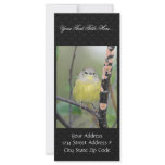 Orange-crowned Warbler Custom Rack Card