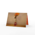 Orange Crush Bottle Card Design by neveroutofstyle Orange Crush Bottle Card Design