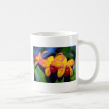Orange Cymbidium flowers Mugs