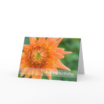 Orange Dahlia Greeting Cards