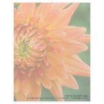 Orange Dahlia Personalized Letterhead