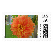 Orange Dahlia postage by charlesblack7 Orange Dahlia postage