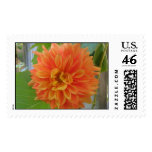 Orange Dahlia postage