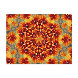 Orange Daisies Kaleidoscope Flower Photo Postcard postcard