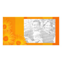 Orange Daisies personalized photo card photo cards by BluePlanet Orange Daisies personalized photo card photo cards