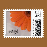 Orange Daisy and Satin Wedding RSVP Postage Stamp