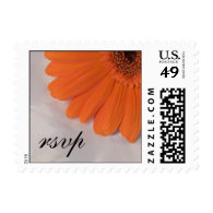 Orange Daisy and Satin Wedding RSVP Postage Stamp